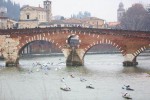 NELLA SFIDA DI SAN VALENTINO VINCE MARIANO BIFANO