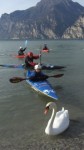 DAI CR: IN TRENTINO A SCUOLA DI SLALOM CON PIERPAOLO FERRAZZI