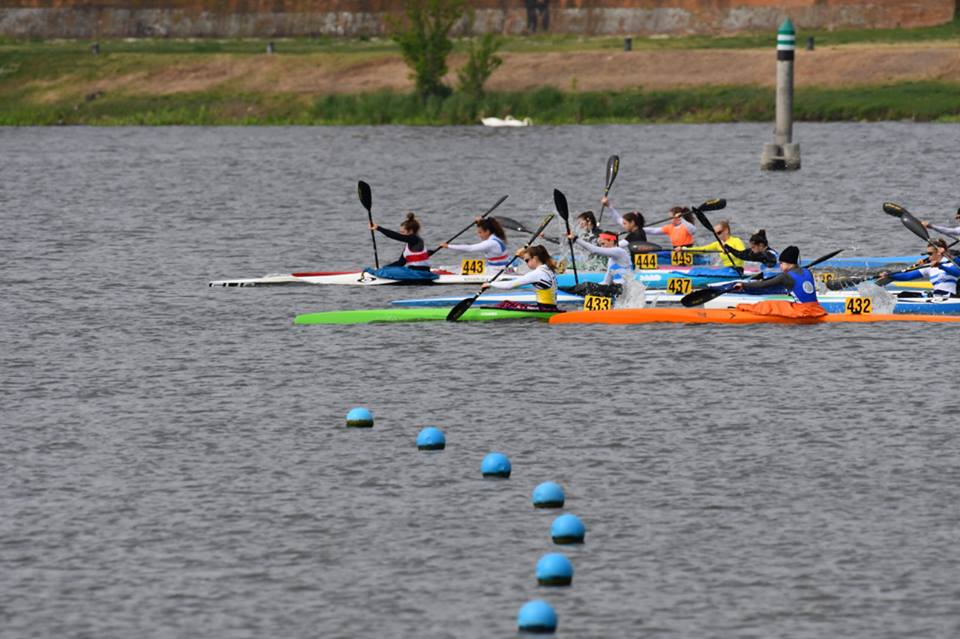images/56360520_2280554522010790_7610511993576882176_n.jpg
