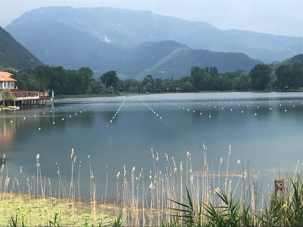 images/comitatiregionali/veneto/2019/bacheca/campo-revine.jpeg