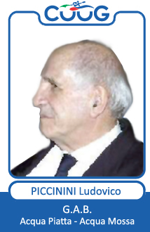 PICCININI LUDOVICO UUGG marche